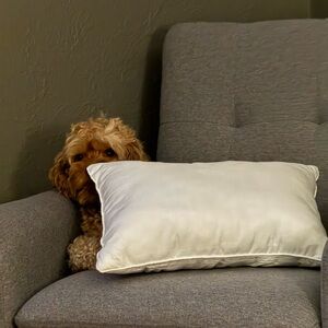 Meet your Posher, Tyson